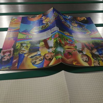 LD1050B Máquina de encuadernación de libros de ejercicios semiautomática diseñada para encuadernación de gran volumen